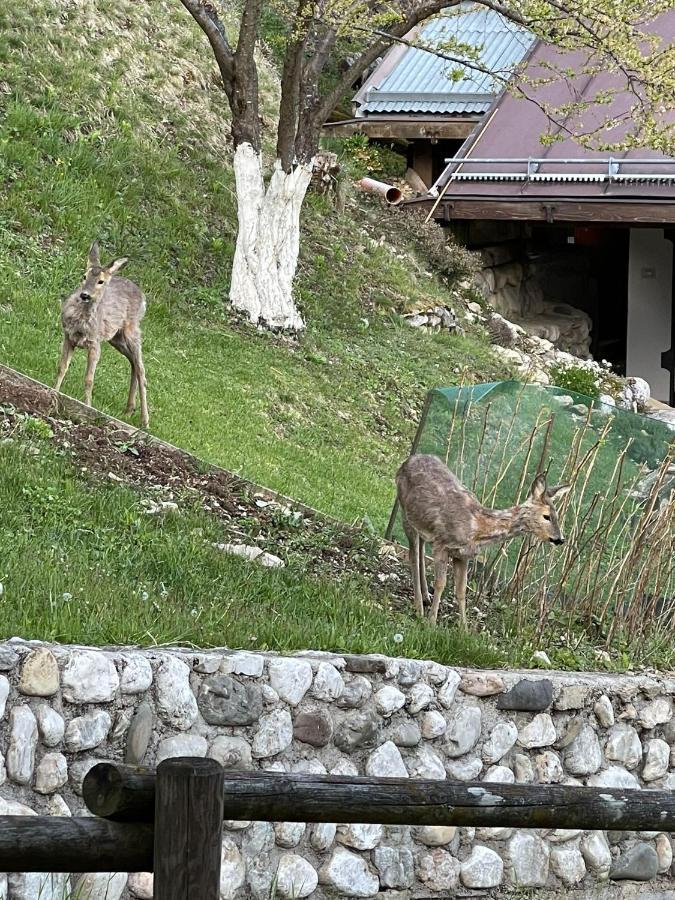 Appartamento In Montagna Venas Exteriér fotografie
